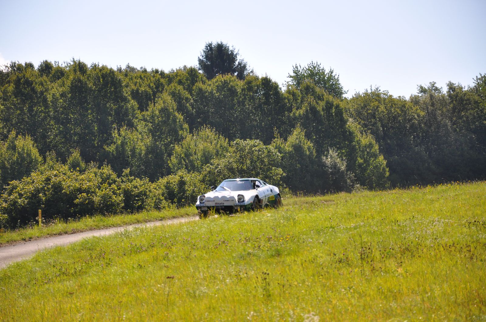 WRC-D 21-08-2010 487 .jpg